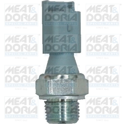 Oil Pressure Switch 72031