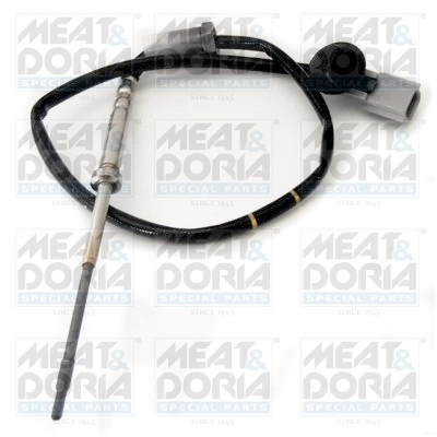Sensor, exhaust gas temperature 12193