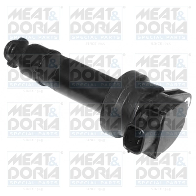 Ignition Coil 10582