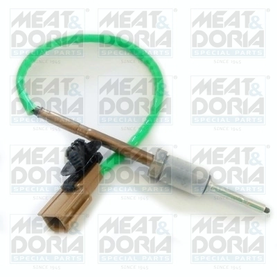 Sensor, exhaust gas temperature 12186
