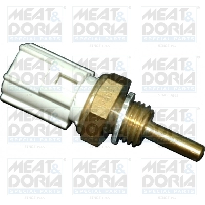 Sensor, coolant temperature 82194