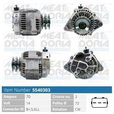 Alternator 5540303