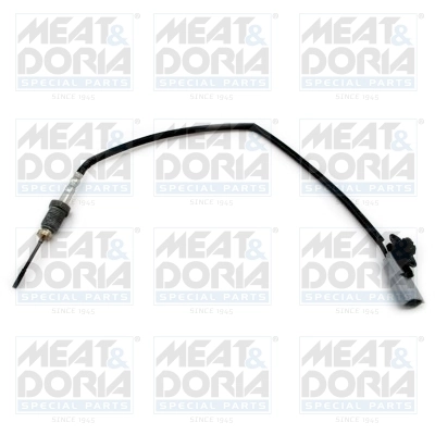 Sensor, exhaust gas temperature 12460