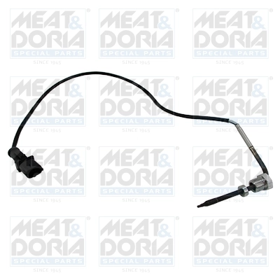 Sensor, exhaust gas temperature 12446E