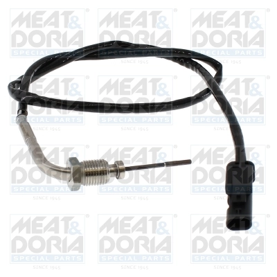 Sensor, exhaust gas temperature 12798