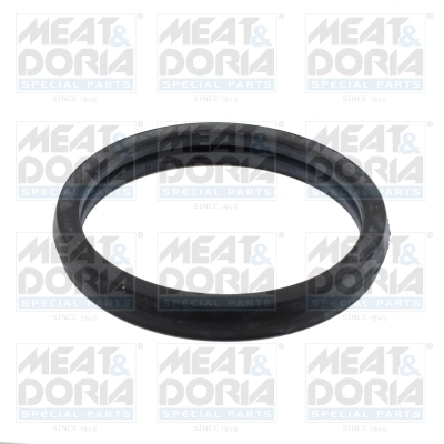 Seal, thermostat 01694