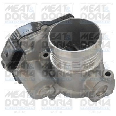 Throttle Body 89331