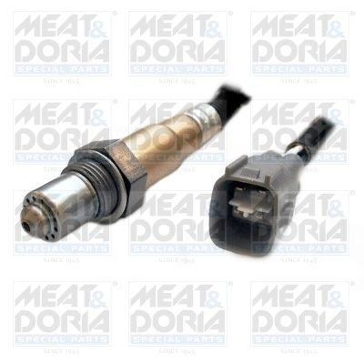 Oxygen Sensor 81670