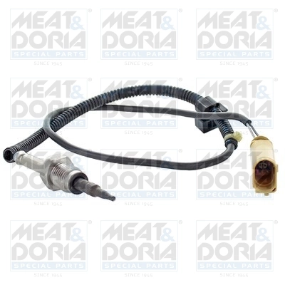 Sensor, exhaust gas temperature 12363