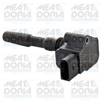 Ignition Coil 10721