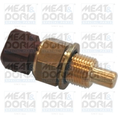 Sensor, coolant temperature 82243