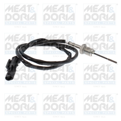Sensor, exhaust gas temperature 12592