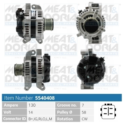 Alternator 5540408
