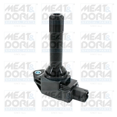 Ignition Coil 10860