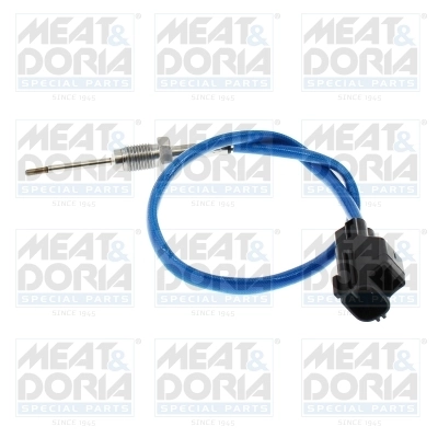 Sensor, exhaust gas temperature 12703