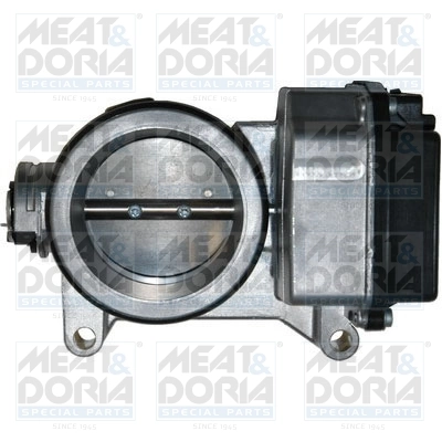 Throttle Body 89025