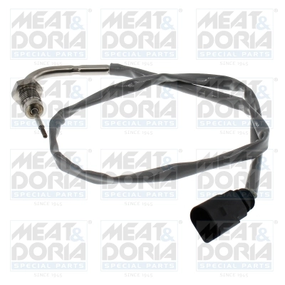 Sensor, exhaust gas temperature 12781