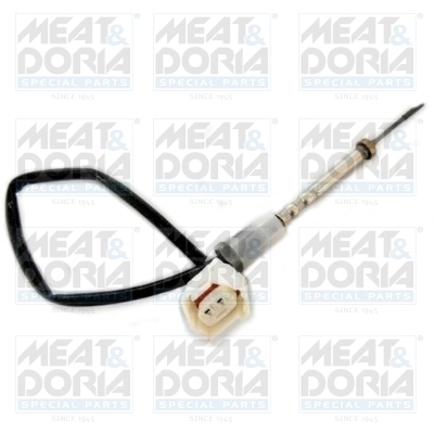 Sensor, exhaust gas temperature 12290