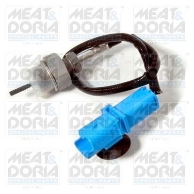 Sensor, exhaust gas temperature 12303