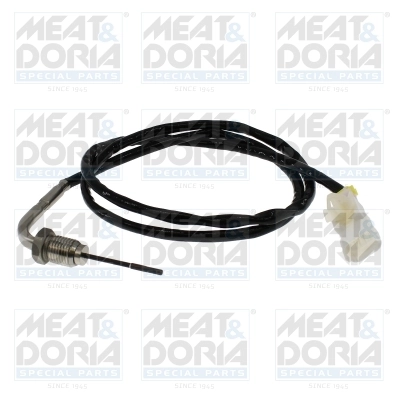 Sensor, exhaust gas temperature 12799