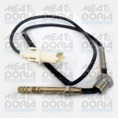Sensor, exhaust gas temperature 12146