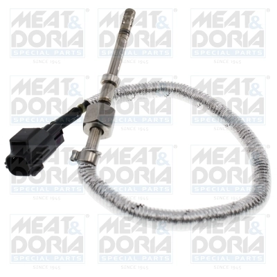 Sensor, exhaust gas temperature 12481