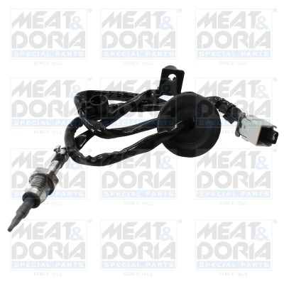 Sensor, exhaust gas temperature 12678