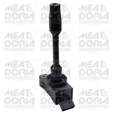 Ignition Coil 10891