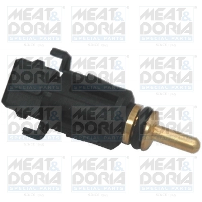 Sensor, coolant temperature 82189