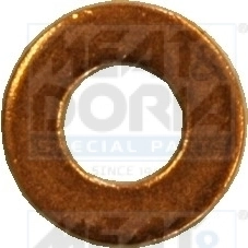 Seal Ring, nozzle holder 9166