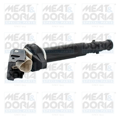 Ignition Coil 10796