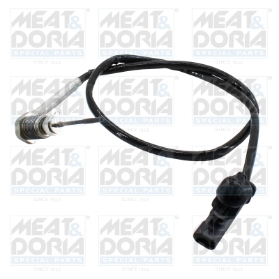 Sensor, exhaust gas temperature 12699