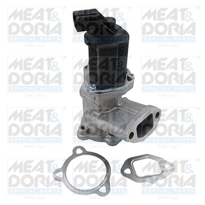EGR Valve 88043