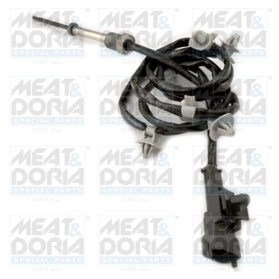 Sensor, exhaust gas temperature 12350