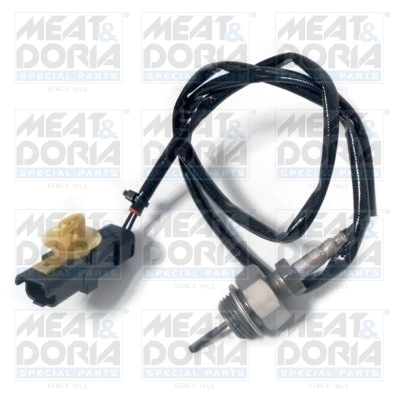 Sensor, exhaust gas temperature 12306