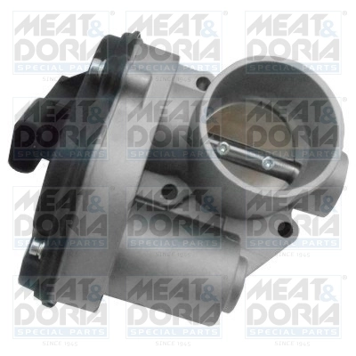 Throttle Body 89194