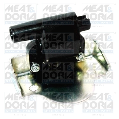 Ignition Coil 10748