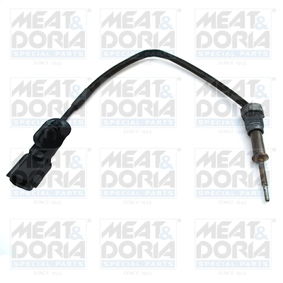 Sensor, exhaust gas temperature 12359
