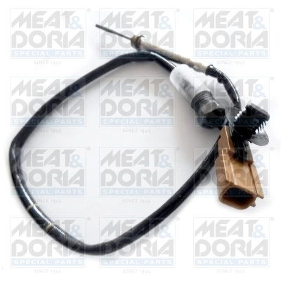 Sensor, exhaust gas temperature 12194