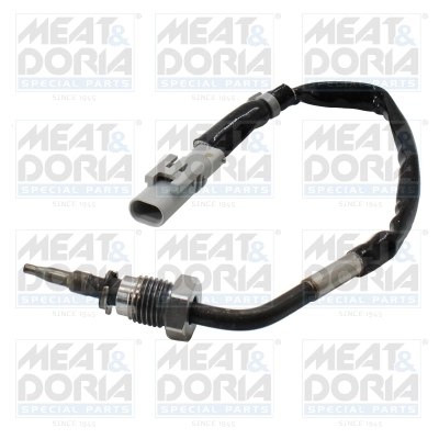 Sensor, exhaust gas temperature 12608