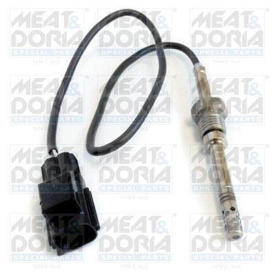 Sensor, exhaust gas temperature 12006