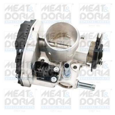 Throttle Body 89501