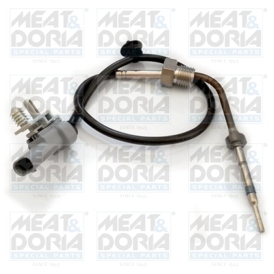 Sensor, exhaust gas temperature 12179