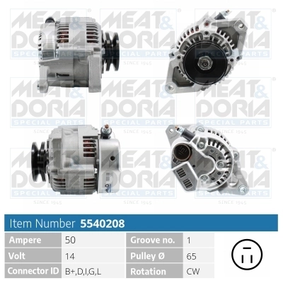 Alternator 5540208