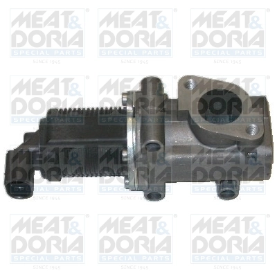 EGR Valve 88007
