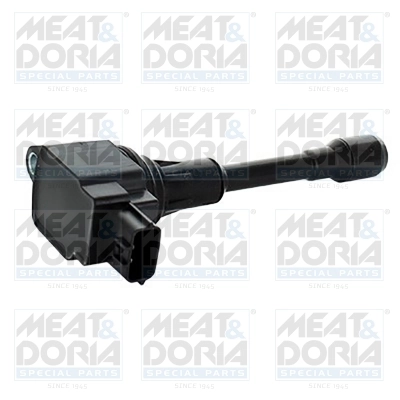 Ignition Coil 10642
