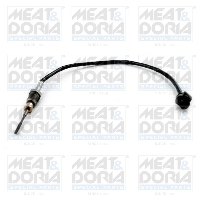 Sensor, exhaust gas temperature 12417