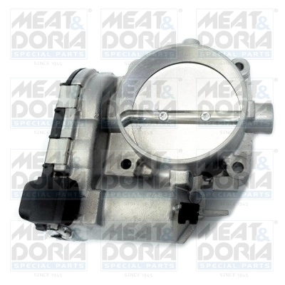 Throttle Body 89220