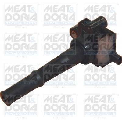 Ignition Coil 10415