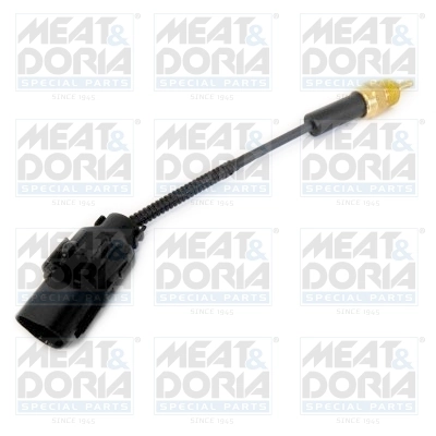 Sensor, coolant temperature 82413